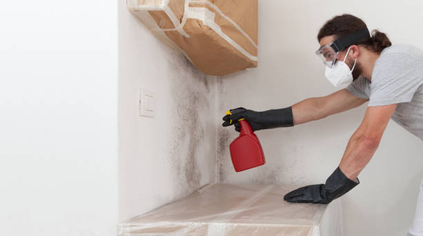 Professional Black Mold Removal technician working in Woodbury, NY