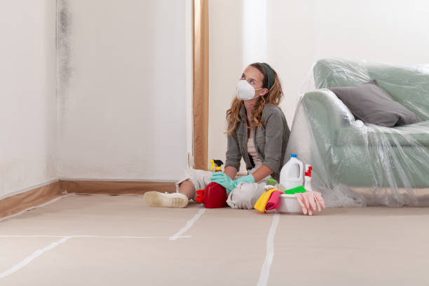 Reliable Black Mold Removal contractor in Woodbury, NY by WQB Mold Removal